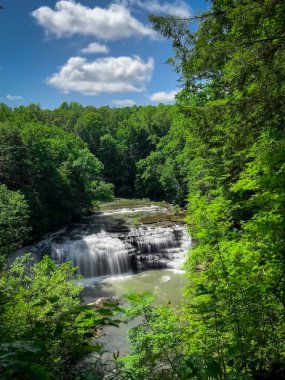 A vertical shot of a waterfall and river surrounded by dense green trees