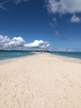 A vertical shot of a beach near a blue sea in the Galapagos Islands, Ecuador