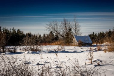 A small rural house with leafless trees in a field covered with the snow in cold weather