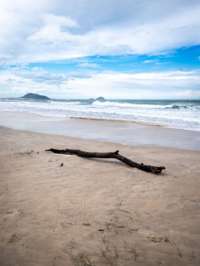 A vertical shot of a wooden piece on a sandy beach against sea waves