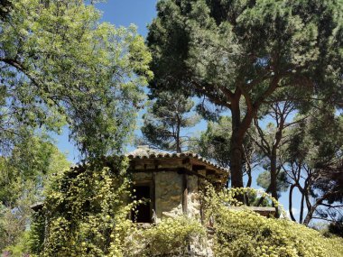 A beautiful view in the beautiful Parque de el Capricho in Madrid, Spain