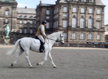 A guard horse riding in front of Queen's castle in Copenhagen, Denmark