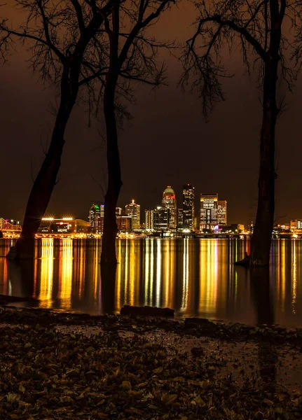 Beautiful Night Long Exposure Shot Buildings Lights Water Trees Land — Foto de Stock