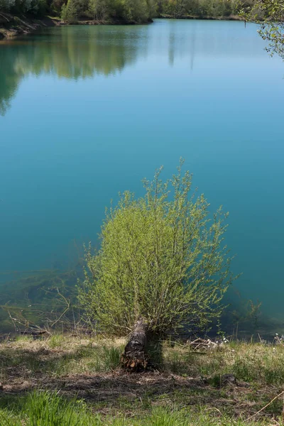 Vertikální Jezero Obklopeno Zelenými Stromy Slunečného Dne Bavorsku Německo — Stock fotografie