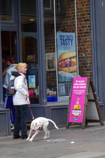 Woman Stands Bakery Sign Now Tasty While Her Dog Licks — Stok fotoğraf
