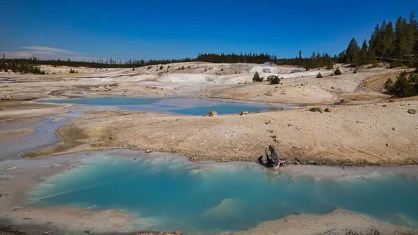 Beautiful View Thermal Pools Norse Geyser Basin Yellowstone National Park — Foto Stock