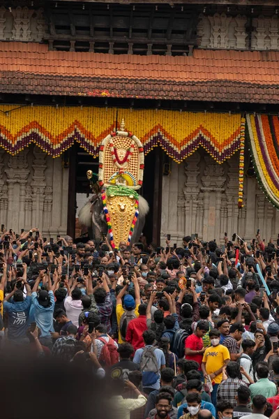 Vertical People Gathered Decorated Elephant Temple Thrissur Pooram Festival — Stock Photo, Image