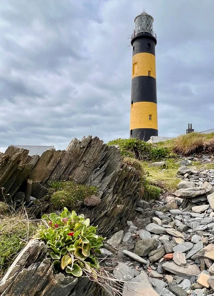 Johns Point Lighthouse Tallest Lighthouse Ireland One Lighthouses Great Lighthouses — Fotografia de Stock