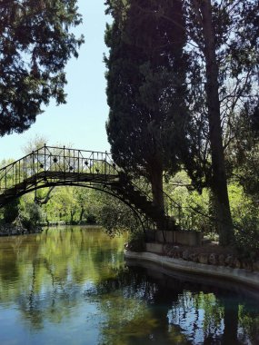 A vertical shot of the bridge above the lake and trees in the Parque de el Capricho in Madrid, Spain