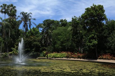A view of a big pool with a small fountain with different beautiful trees in the background