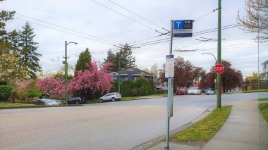 Bus stop in spring in East Vancouver . British Columbia