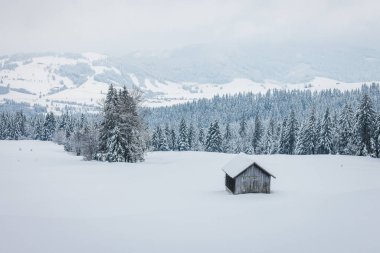 A small wooden house in a winter field with a forest on the background in Switzerland