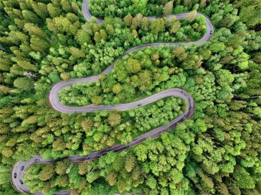 An aerial view of a curved road in the middle of a thick forest