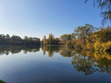 A closeup of a pond with colorful autumn landscape