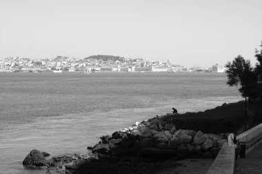 Kimliği belirlenemeyen yalnız bir adam etikete bakar, Lisbon da taşrada olur.