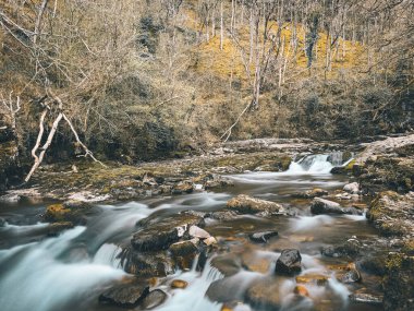 Dört Şelale Yürüyüşü 'nün doğal bir manzarası, Birleşik Krallık