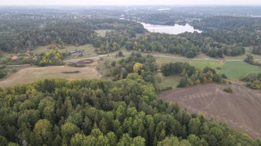 An aerial view of forest landscape and a little lake