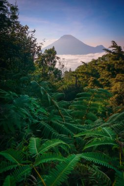 Beautiful sunrise view from sikunir dieng Indonesia. Mountain with clouds in a background