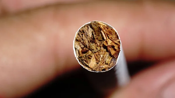 Macro Photography Cigarette Male Fingers Focus Point Tobacco Cigarette Tobacco — Stock Photo, Image