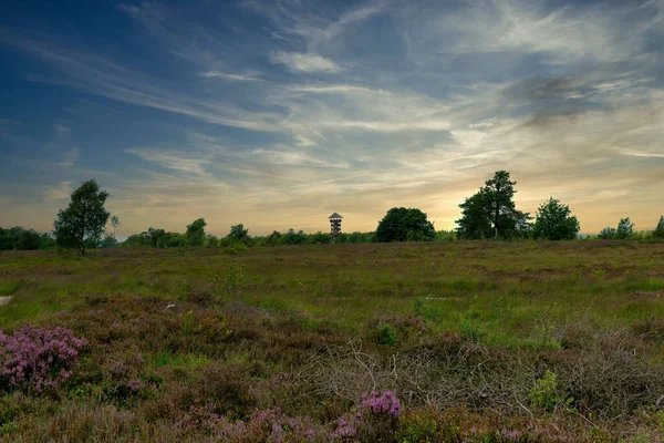 Beautiful Field Landscape Sunrise — Stok fotoğraf