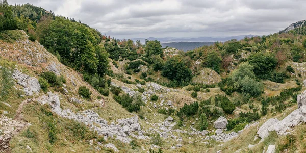 Aerial View Lush Greenery Growing Mountains Montenegro Cloudy Sky — Zdjęcie stockowe