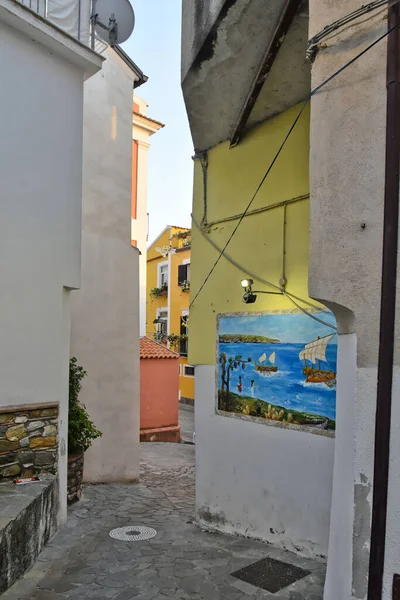 Uma Rua Estreita Com Murais Pintados Uma Aldeia Região Calábria — Fotografia de Stock