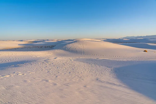 Ett Skott Snötäckta Sanddyner — Stockfoto