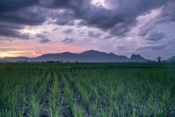 Landscape Mountain as Human sunset