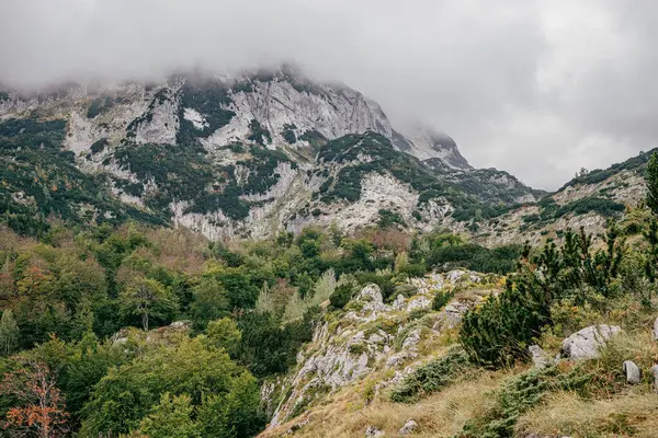 Hiking Trail Beautiful Forested Mountains Montenegro Gray Cloudy Sky — 스톡 사진