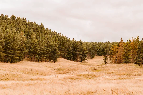 Scenic View Rural Area Lush Forests Cloudy Sky Background — Stock Photo, Image