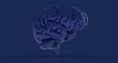 Sarı arka planda izole edilmiş insan beyninin üç boyutlu bir çizimi.