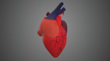 Gri arka planda kalbin soyut bir görüntüsü.