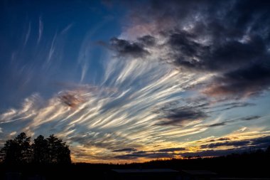Gün batımında bulutlu gökyüzünün altında bir ağaç silueti.