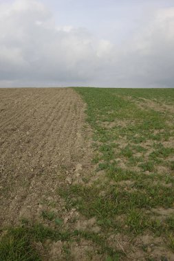 Freshly plowed filed for winter grain on an autumn day, Eulenbis, Weilerbach, Rhineland Palatinate, Germany