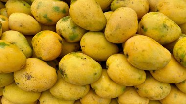 Marketteki mango meyvesi yığını manzarası