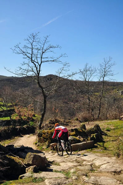 Vertical Shot Mountain Bike Rider Serra Alvao Amarante Portugal — Fotografia de Stock