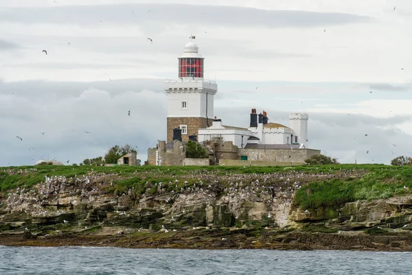 View Lighthouse Coquet Island Northumberland Which Nature Reserve Hosting Grey — Stock Photo, Image