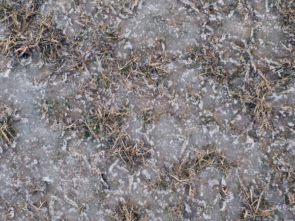 Grass Covered Translucent Ice Snow — Foto de Stock
