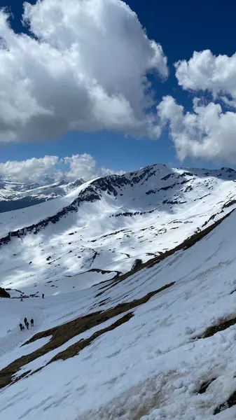 Sviçre Deki Güzel Karlı Dağların Dikey Görüntüsü — Stok fotoğraf