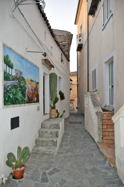 Narrow Street Painted Murals Village Calabria Region Italy — Stock Photo, Image