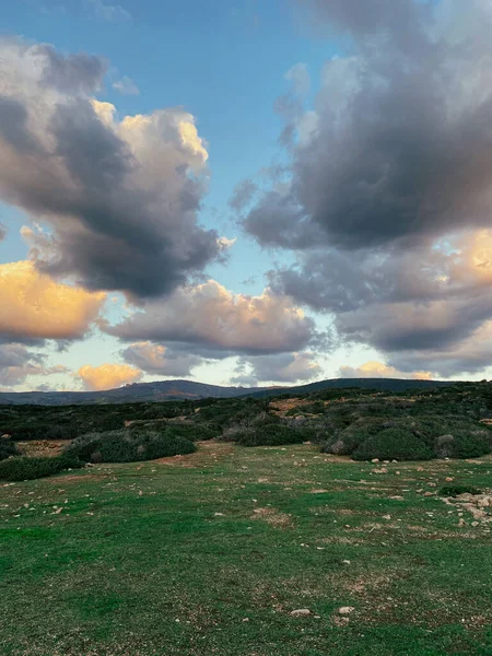 Vertical Shot Green Field Bushes Background Beautiful Cloudy Sky Cyprus — Foto de Stock