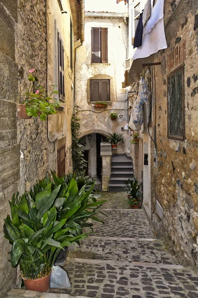 Narrow Street Old Houses Giuliano Roma Village Lazio Region Italy — 스톡 사진