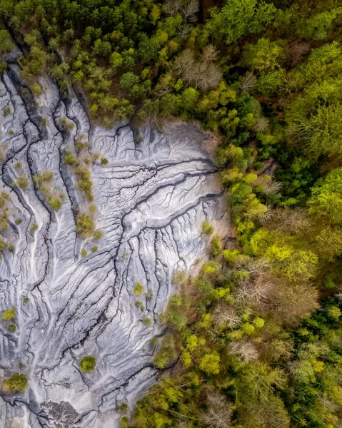 Aerial View Forests Mountain — Zdjęcie stockowe