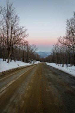 A vertical shot of a road constructed in the forest in Vermont, USA