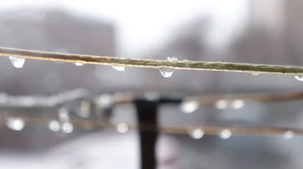Closeup Lanyard Hook Water Drops Selected Focus — Zdjęcie stockowe
