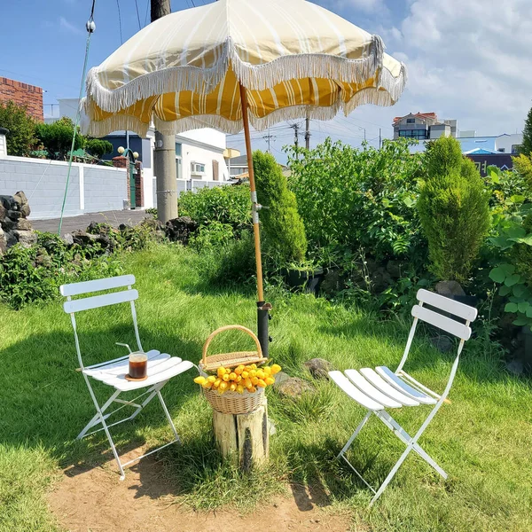 A pair of white patio chairs, an umbrella, and a basket of yellow tulips in a garden