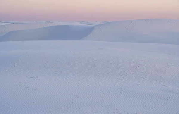 Ett Skott Snötäckta Sanddyner — Stockfoto