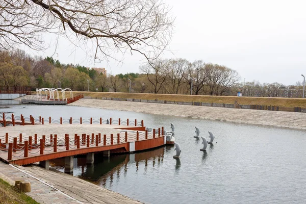 Beautiful Small Artificial Lake Park Wooden Path Middle Small Dolphins — Stok fotoğraf