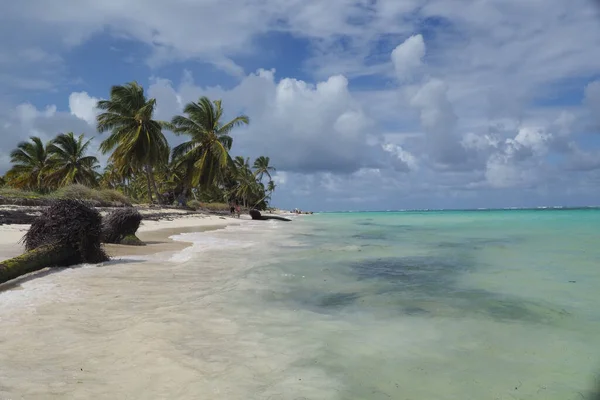 Вид Пляж Пальмами Карибское Море Фоне Облачного Неба — стоковое фото
