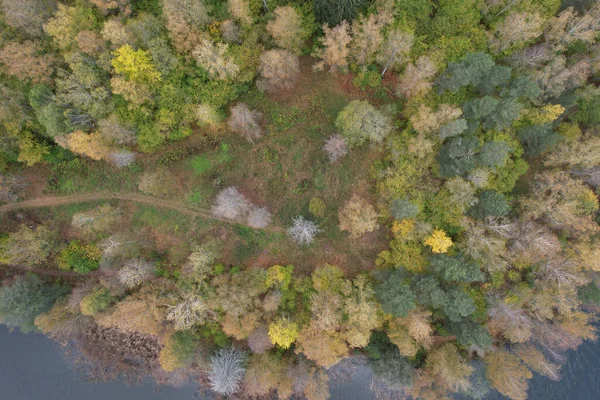 Top Aerial Shot Forest Autumn — Stock Photo, Image